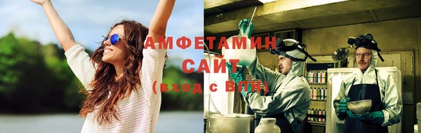 молекула духа Алексеевка