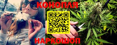 индика Беслан