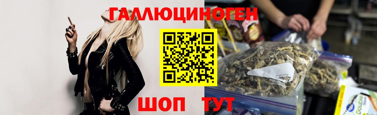 Галлюциногенные грибы MAGIC MUSHROOMS  Вход с VPN  Шадринск 